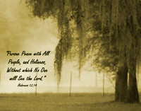 Peace From God
